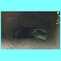 zoo 010.jpg